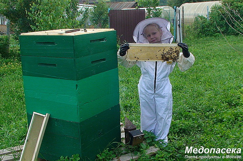 Купить мед Москва