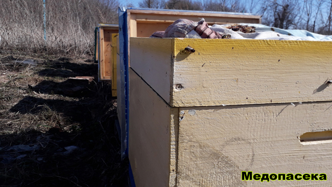 Прием заказов на пчела продукцию